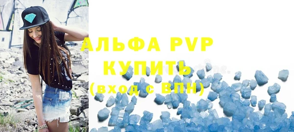 прущие грибы Покровск