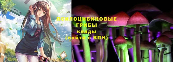 прущие грибы Покровск