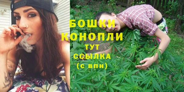 прущие грибы Покровск
