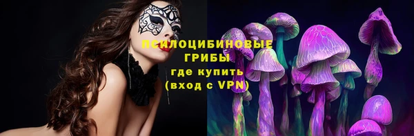 mdpv Покачи