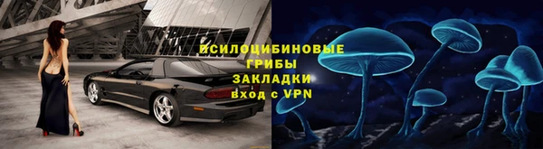прущие грибы Покровск